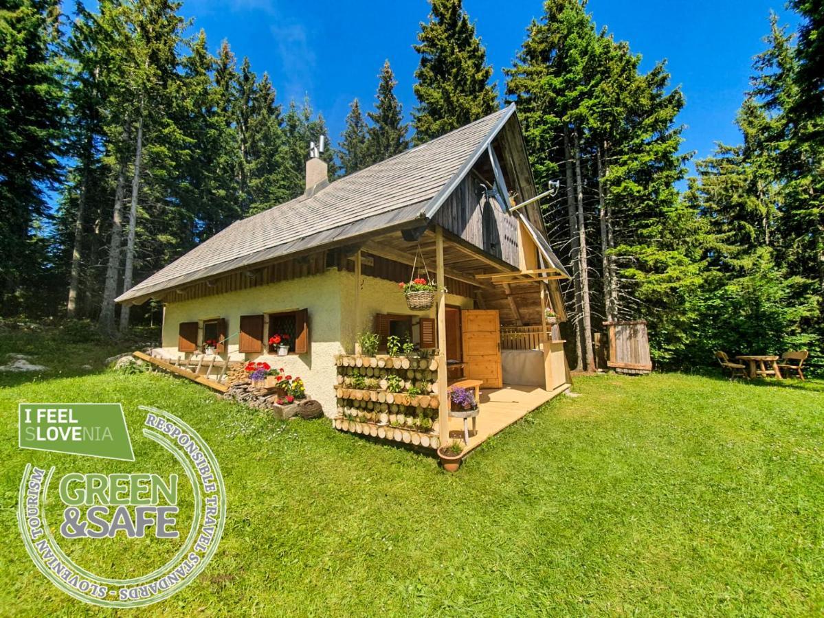 Mountain Eco Chalet Konjska Dolina On 1400 M Asl -Near Pokljuka Srednja Vas v Bohinju Exterior foto